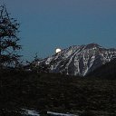 ���� ������, �������, 51 ��� - ��������� 20 ������� 2014 � ������ ���� ����������