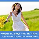  Mariposa, , 43  -  28  2015    