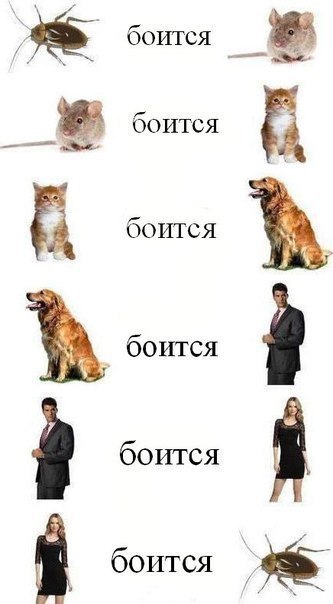  ))))))))))))))))))))))))))))