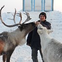 ���� ��������, ����� - ��������� 26 ������ 2015 � ������ ���� ����������