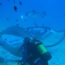 ��������, �����-����� �� ������� ���� ����������