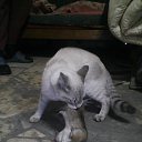 ���� �������, ���������, 64 ���� - ��������� 7 ������ 2015 � ������ ������ ��������