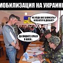 ���� ������, ������-��-����, 46 ��� - ��������� 12 ������ 2015 � ������ ������ ��������