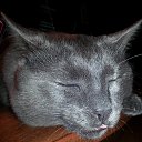 ���� ������, ������ - ��������� 7 ����� 2015 � ������ ���� ������!!!�