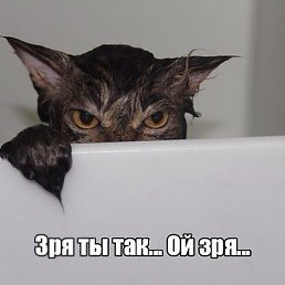 ���� �����, ������� - ��������� 15 ������ 2015