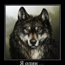 ���� �������� ����, ������, 46 ��� - ��������� 28 ����� 2015 � ������ ������ ��������