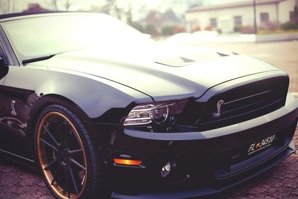 Shelby GT500