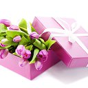 ���� ��������, ������ - ��������� 1 ����� 2015 � ������ ������ ��������