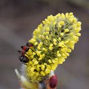 8 ������ 2015 �� ������� ������� ��������)))�