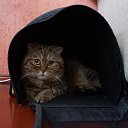 ���� ��������, ������������, 56 ��� - ��������� 27 ������ 2015 � ������ ���� ����������