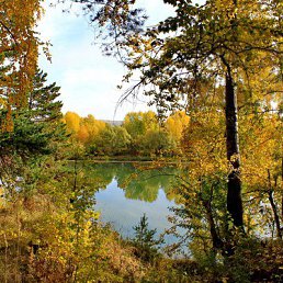 �������, �������, 85 ���