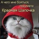 ���� *�����*, ��������� - ��������� 6 ������� 2015 � ������ ���� ����������