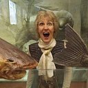 ���� �������, ���������, 68 ��� - ��������� 1 ������� 2015 � ������ �2015�