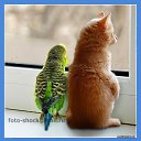 ���� �������, ������-������� - ��������� 18 ������ 2015 � ������ ������ ������