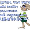 ���� �������, ����-��� - ��������� 7 ������� 2015 � ������ ���� ����������