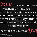 ���� ����, ���� - ��������� 31 ������ 2015 � ������ ������ ��������