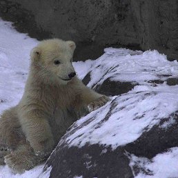 ��������, ������, 47 ���