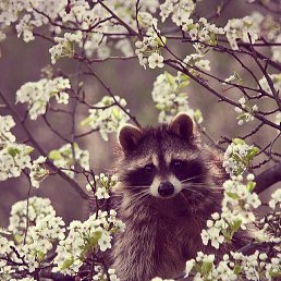 ���� ����, ������ �������� - ��������� 20 ������ 2015