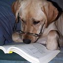 ���� Vera, ���� - ��������� 20 ������ 2015 � ������ ���� ����������