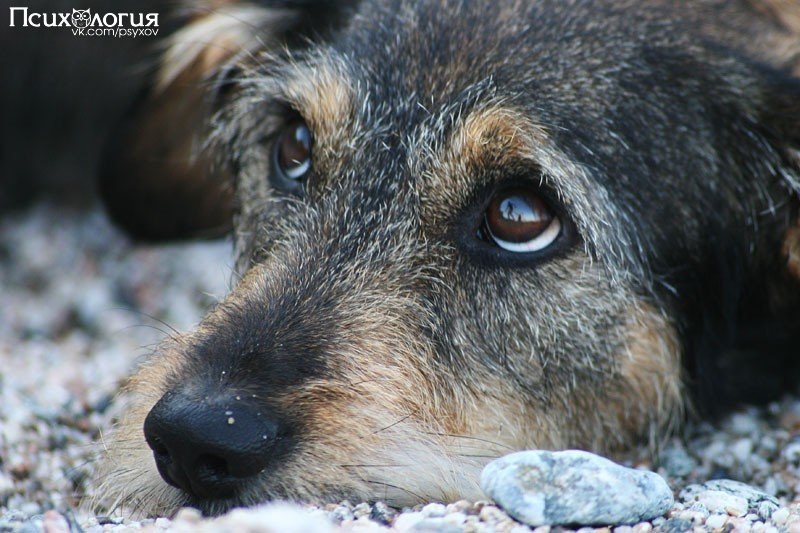  .          -,    ...