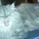 ���� Grigol, �������, 65 ��� - ��������� 22 ������ 2015 � ������ ���� ����������