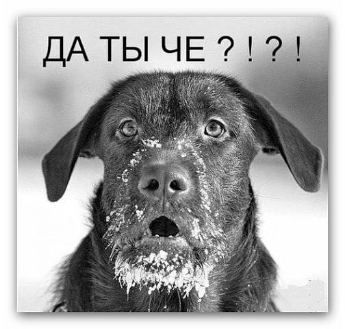 ,     Ѹ ? -  ? -   ,     - ...