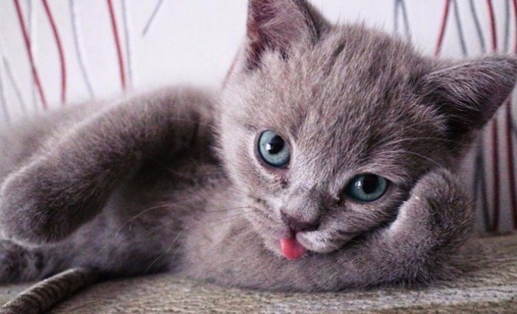������� ����� � ��������� ������.#animal@travel.blog - 3
