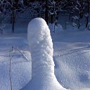 ���� �*, ������, 61 ��� - ��������� 26 ������ 2015 � ������ ������ ��������