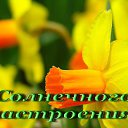���� ��������, ������, 61 ��� - ��������� 30 ����� 2015 � ������ ������ ��������