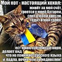 ���� ������@, �����, 54 ���� - ��������� 24 ����� 2015 � ������ ������ ��������