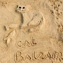 ���� ����, ����������� - ��������� 13 ������ 2015 � ������ ���� �����