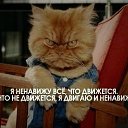 ���� ������, ������������� - ��������� 1 ������ 2015