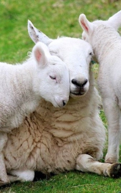   - 21  2015  12:01 - 3