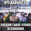 ���� �������, ������ - ��������� 14 ����� 2015 � ������ ��������������