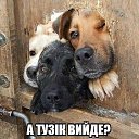 ���� �������, �������, 51 ��� - ��������� 13 ����� 2015 � ������ ������ ��������