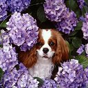 ���� �����!!������� ������, ������������ - ��������� 22 ������� 2015 � ������ ��������