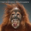 ���� *����*, ������, 57 ��� - ��������� 2 ������ 2015 � ������ ������ ��������