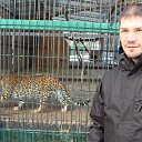 ���� ����, �����������, 43 ���� - ��������� 8 ����� 2015