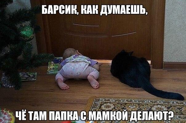    :-) - 15  2015  01:40