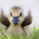 ������ ��Ѩ���:) �� ������� ���� ����������