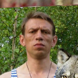 ����, �����������, 50 ���