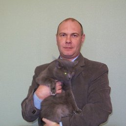 ������, ���������, 54 ����