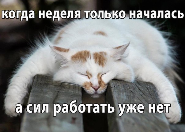       - 6  2015  10:31
