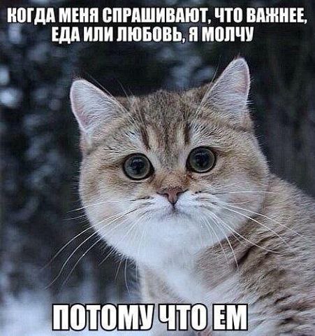 �������� - 20 ������ 2015 � 22:04