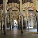 ���� ����, ������, 40 ��� - ��������� 8 ������ 2015 � ������ ���� ����������