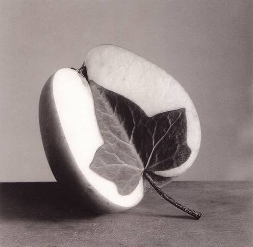    Chema Madoz - 6