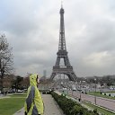  , -, 43  -  28  2014    