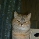 ��� ����� �� ������� ���� ����������