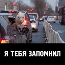 ���� ������, ���������, 52 ���� - ��������� 29 ����� 2015 � ������ ������ ��������