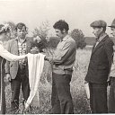 ���� �������, �����, 74 ���� - ��������� 15 ������� 2014 � ������ ���� ����������